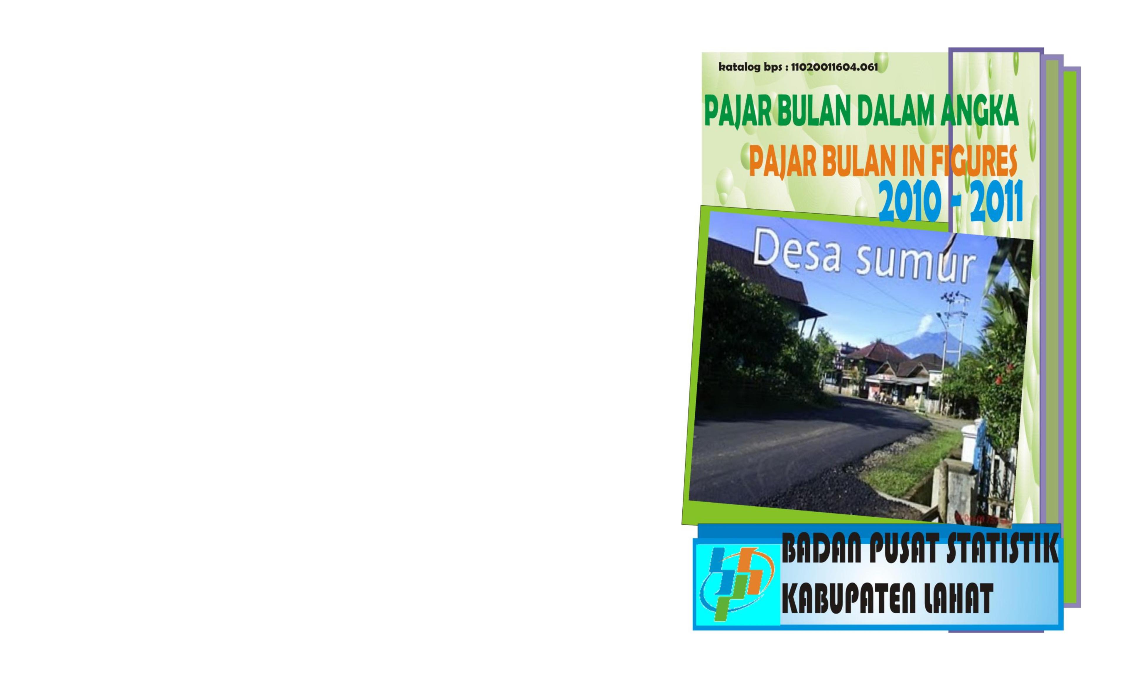 Pajar Bulan Dalam Angka 2010/2011