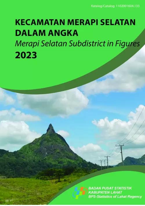 Merapi Selatan Subdistrict in Figures 2023